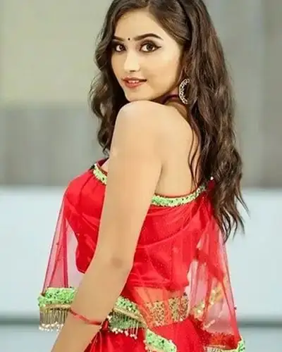 Call Girls Service Parner